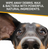 Rapid Ear Care Vet Strength Pet Wipes for Dogs and Cats