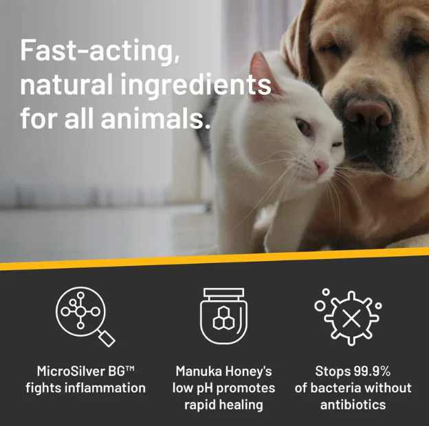 Rapid Ear Care Vet Strength Pet Wipes for Dogs and Cats