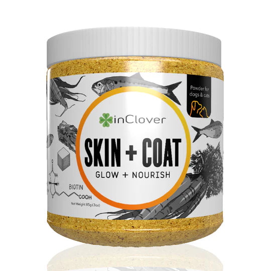 Skin + Coat Supplement for Dogs + Cats