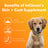 Skin + Coat Supplement for Dogs + Cats