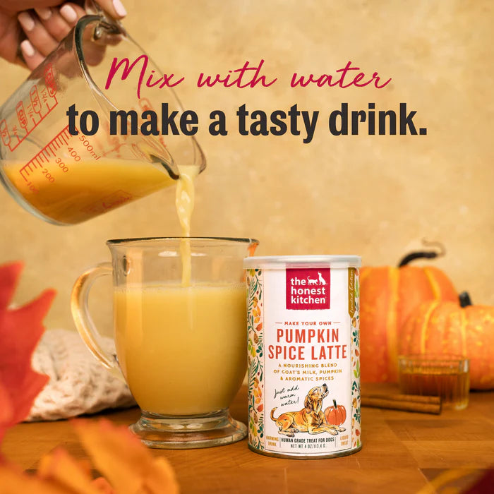 Pumpkin Spice Latte for dogs