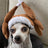 Turkey Hat