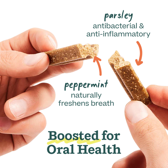 Bite n' Brush Refills