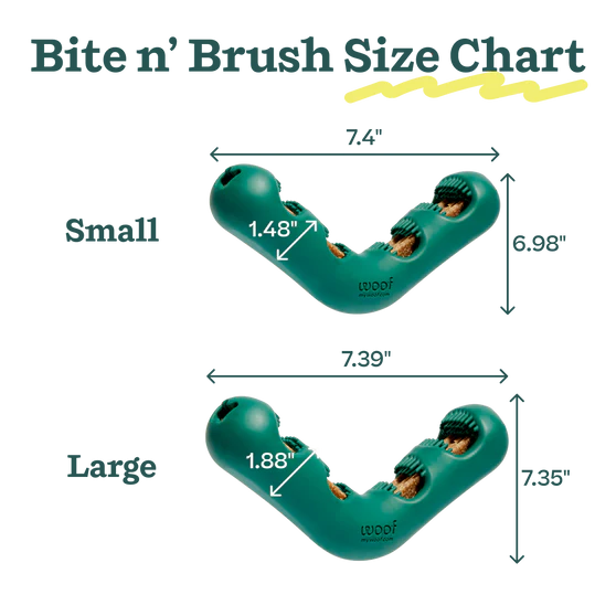 The Bite n' Brush
