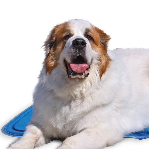 Cool Pet Pad - Blue