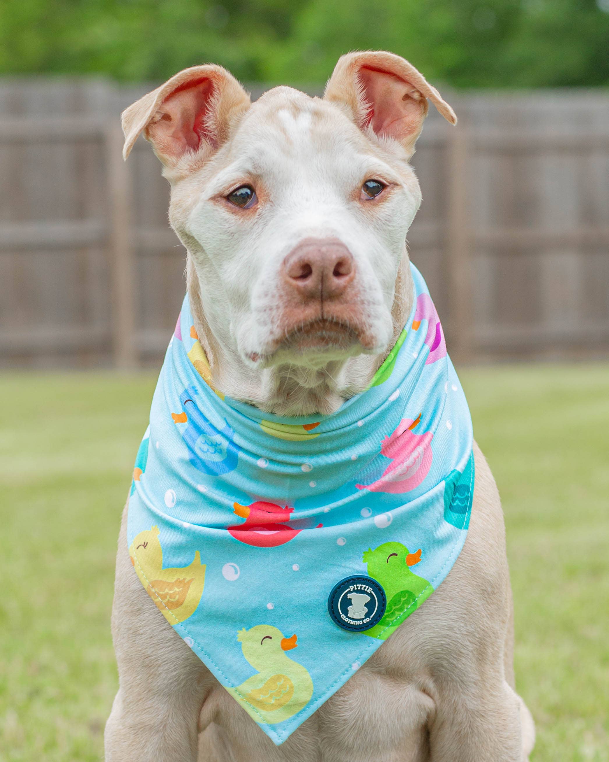 Purple 'So Duckin' Cute' Bandana