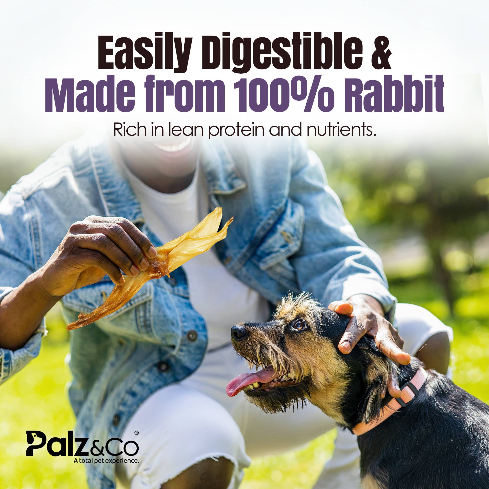 Rabbitdog Rabbit Ear Dog Chew Treats