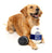 Milk & Cookie Plush Dog Toy 2pk