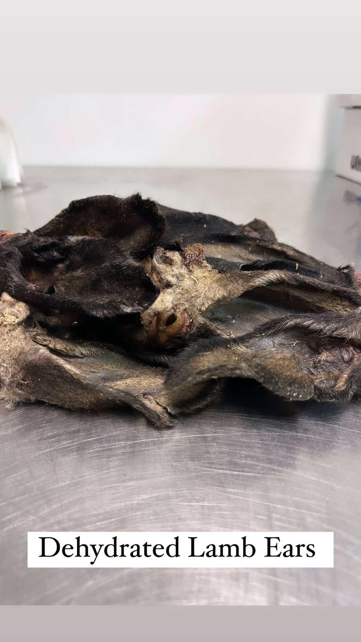 Lamb Ear