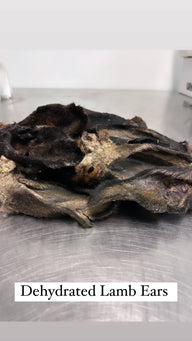 Lamb Ear