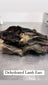 Lamb Ear