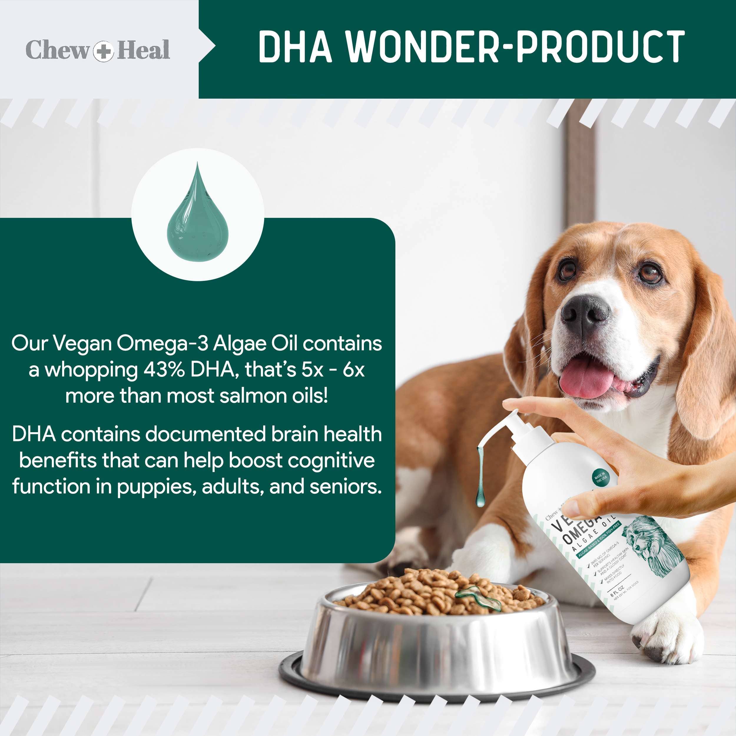 Vegan Omega-3 Skin and Coat Supplement for Dogs with Pump