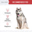 Antibacterial & Antifungal Medicated Wet Wipes for Dogs