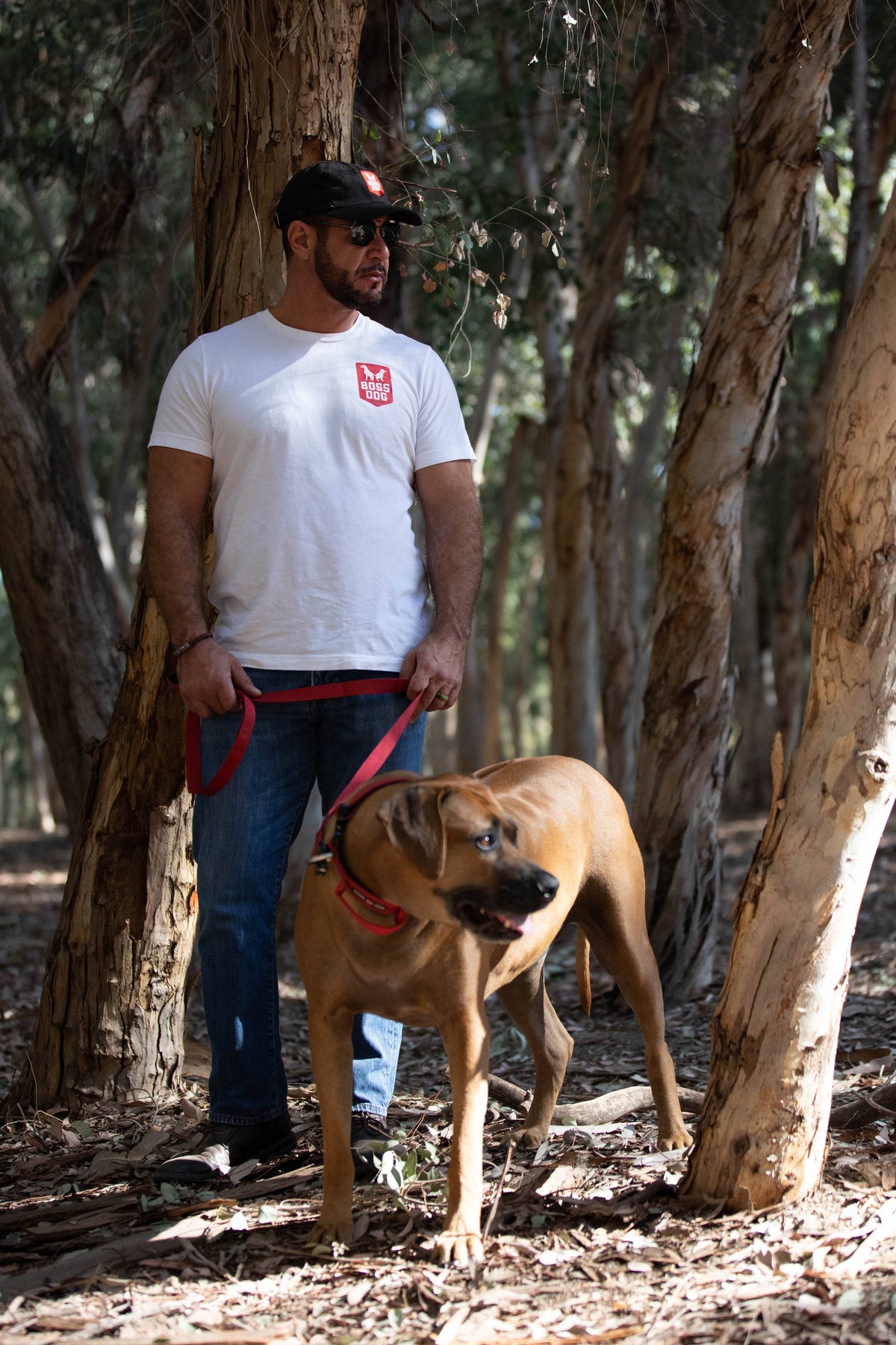 Boss Dog 4FT Unbreakable Leash