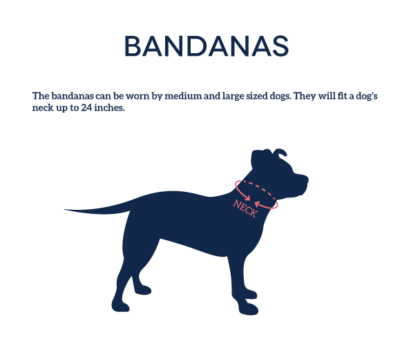 'Lazy Bones' Bandana