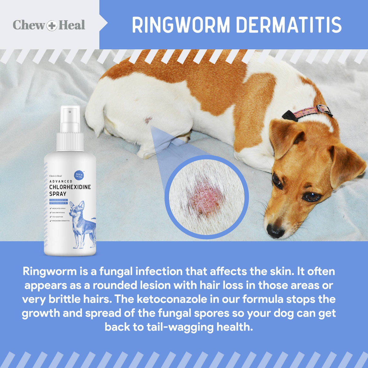 Advanced Chlorhexidine Medicated Wound Care Spray for Dogs