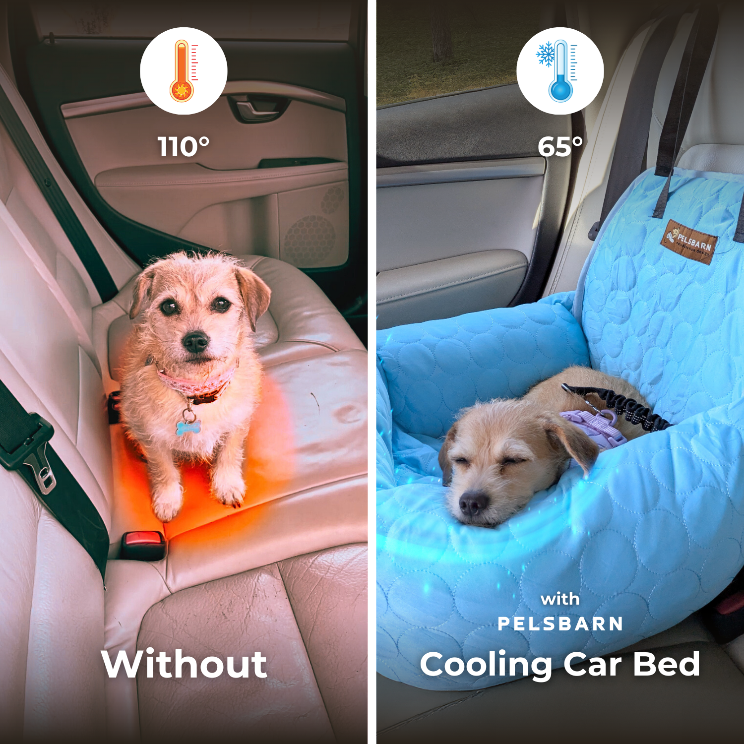 Cooling Car Bed Heat Relief - Pelsbarn helps shelter dogs!