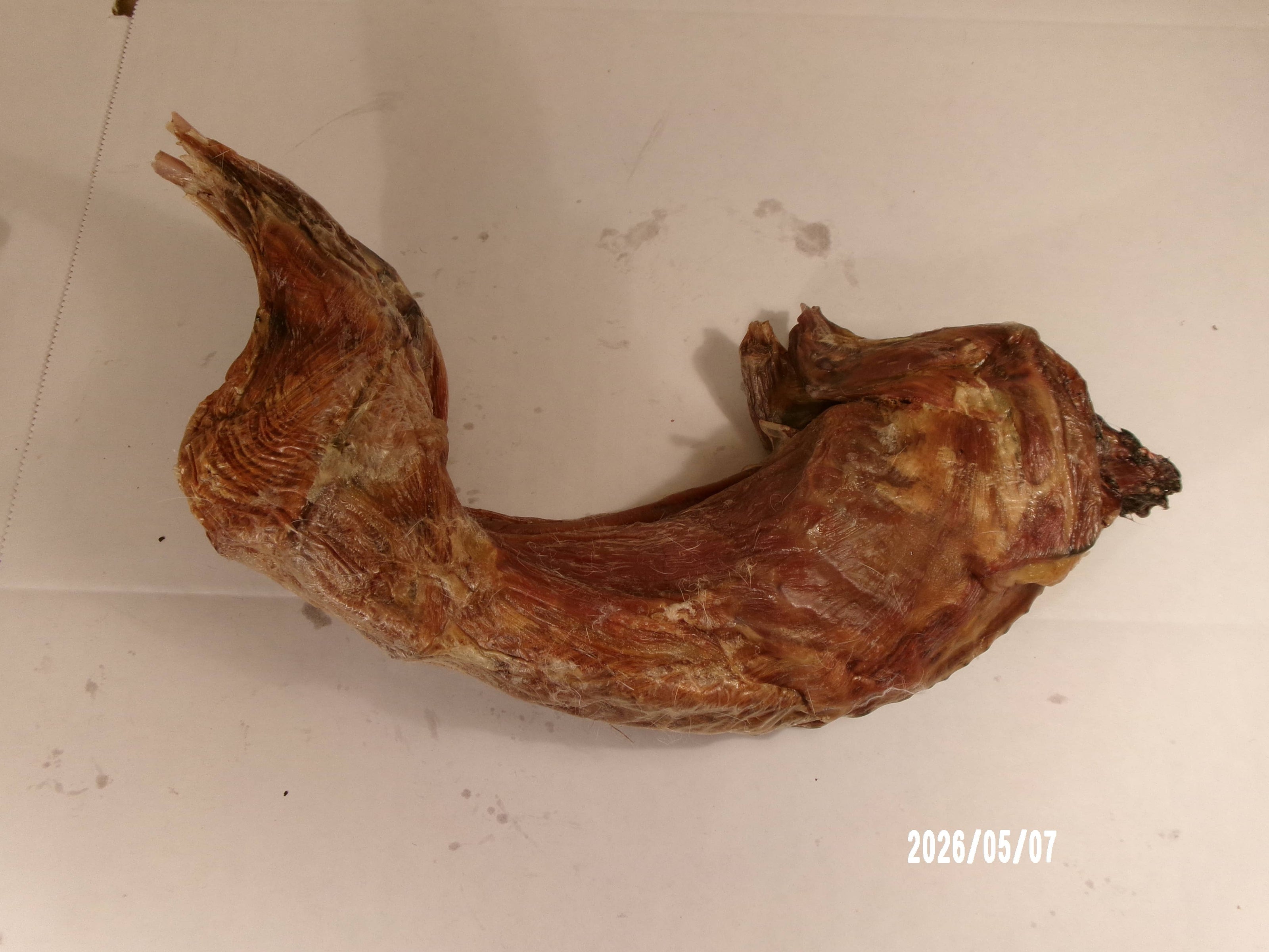 Rabbit Whole Dehydrated