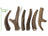 Deer Antler Dog Chews