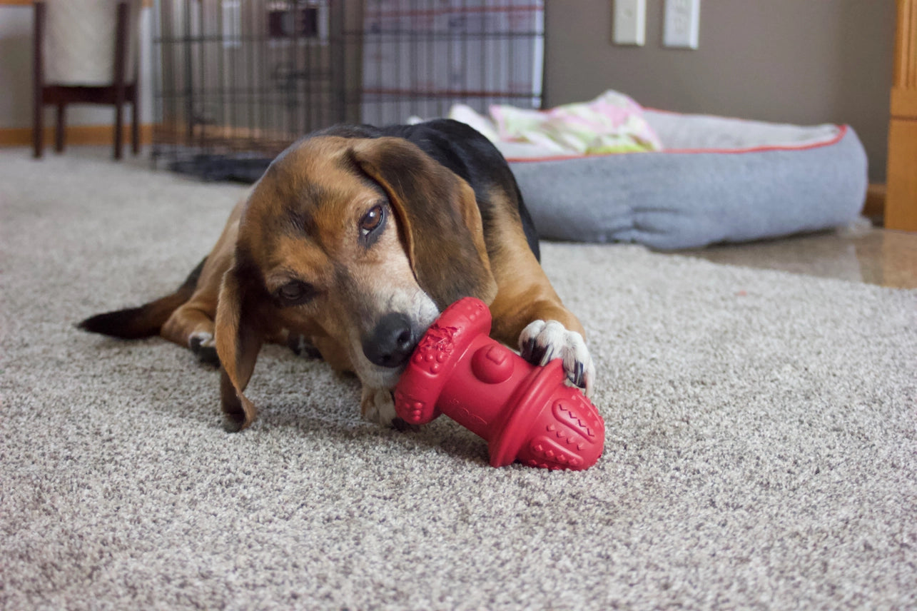 The Hydrant