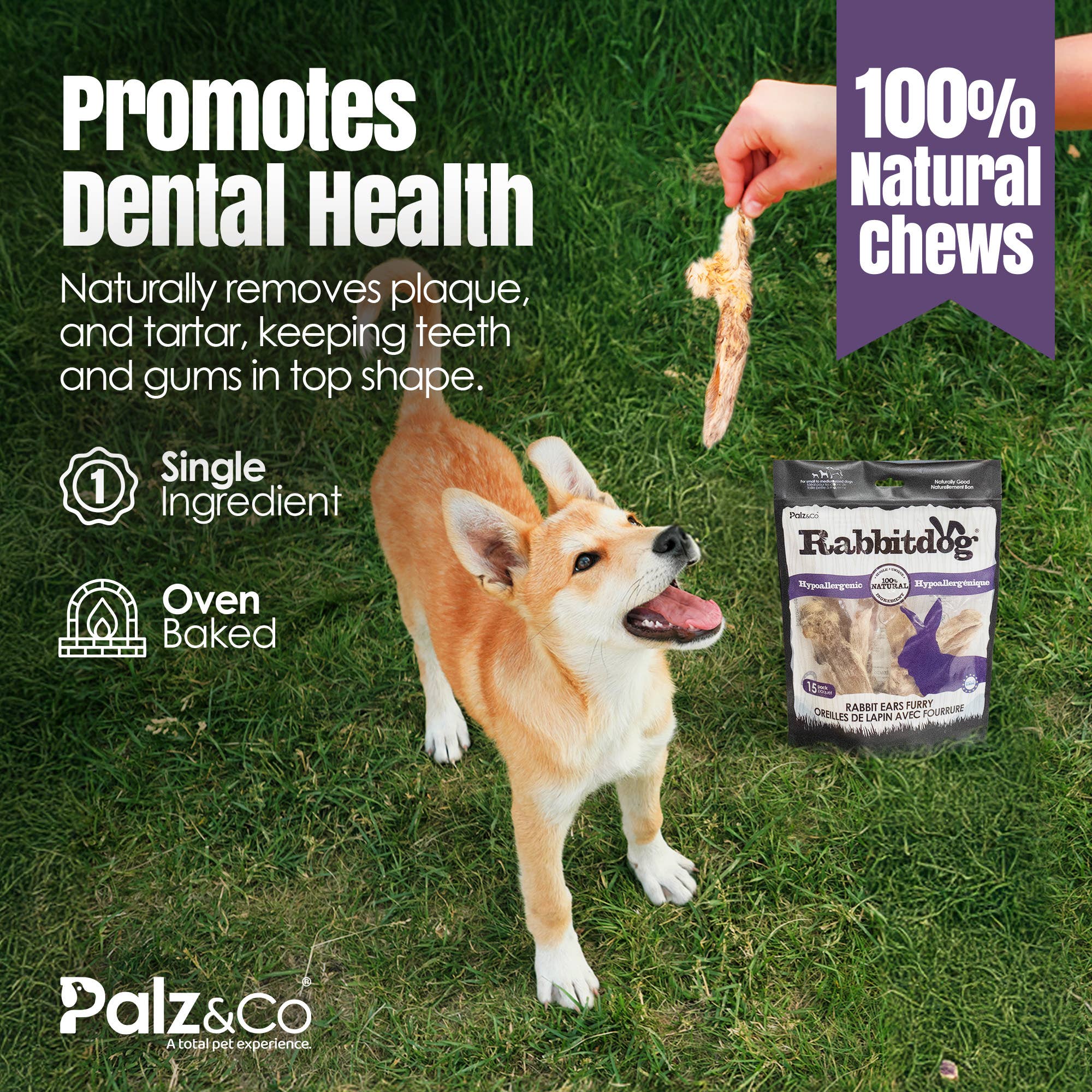 Rabbitdog Rabbit Ear Dog Chew Treats