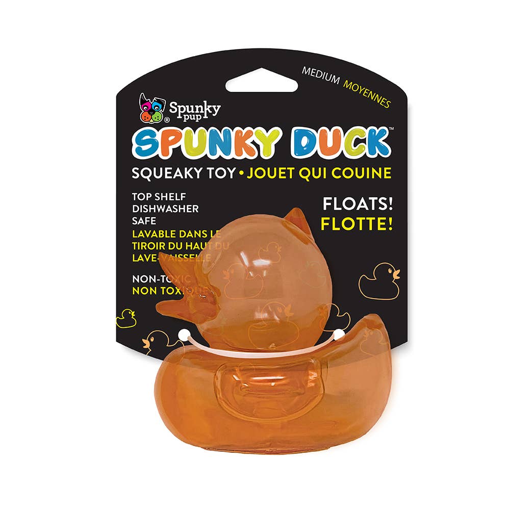 Spunky Squeaky Ducks