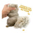 Animated Squirrel Toy - Tall Tails