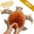 Animated Plush Sea Turtle - Tall Tails