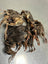 Quail With Fur