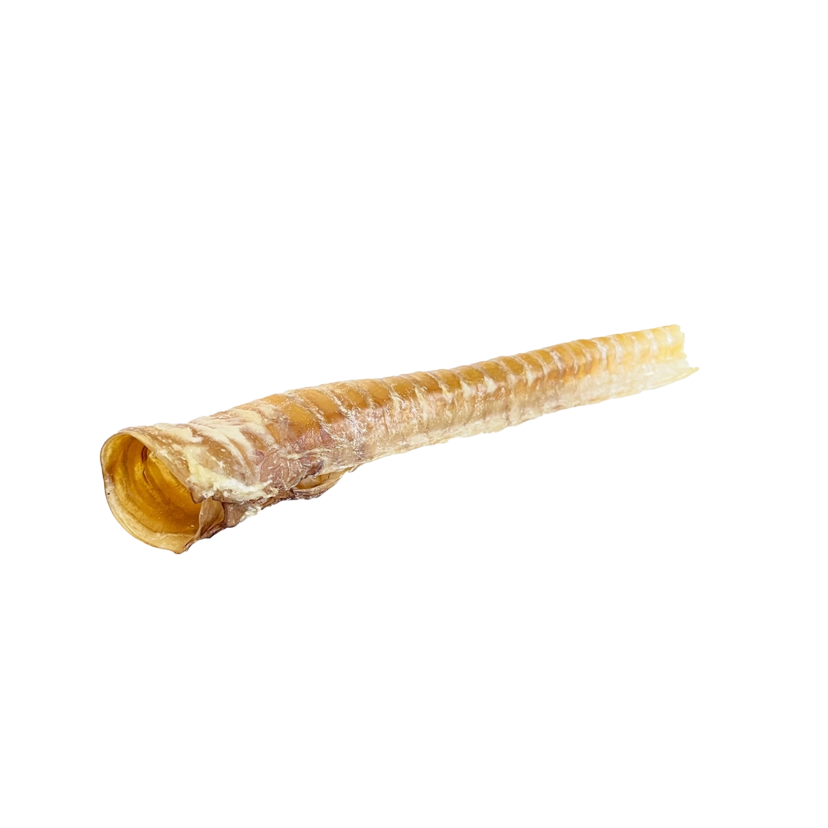 Beef Trachea 12" 25cs
