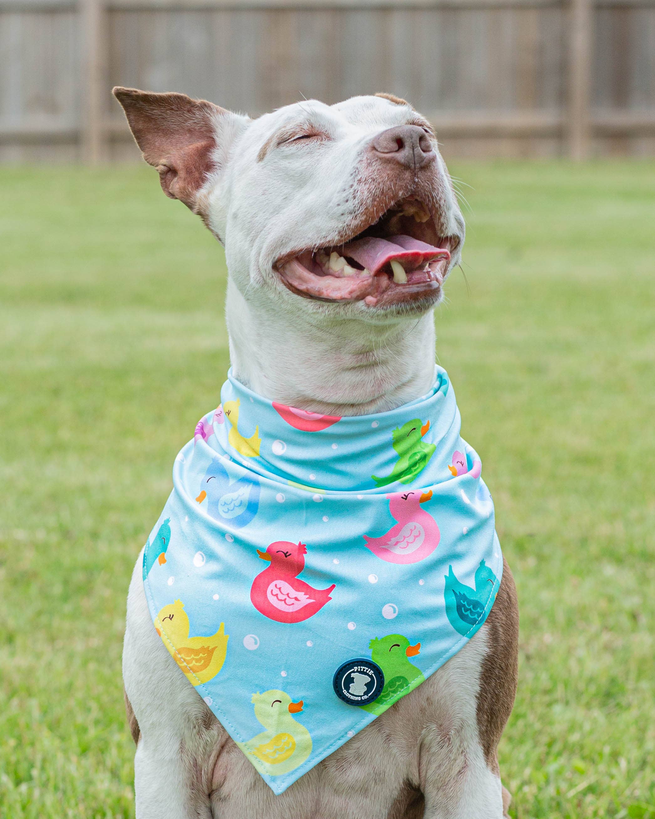 Purple 'So Duckin' Cute' Bandana