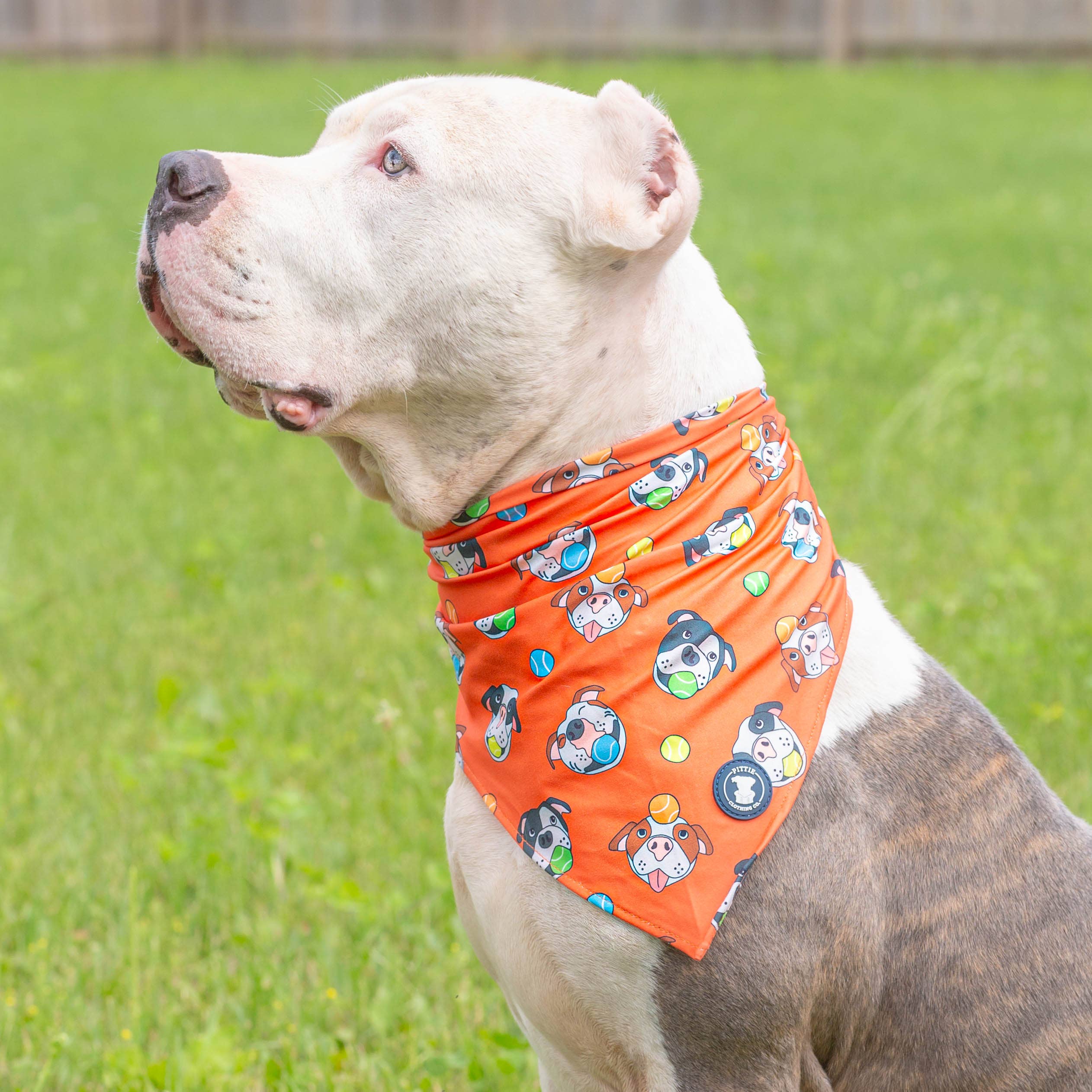 'So Fetch' Bandana