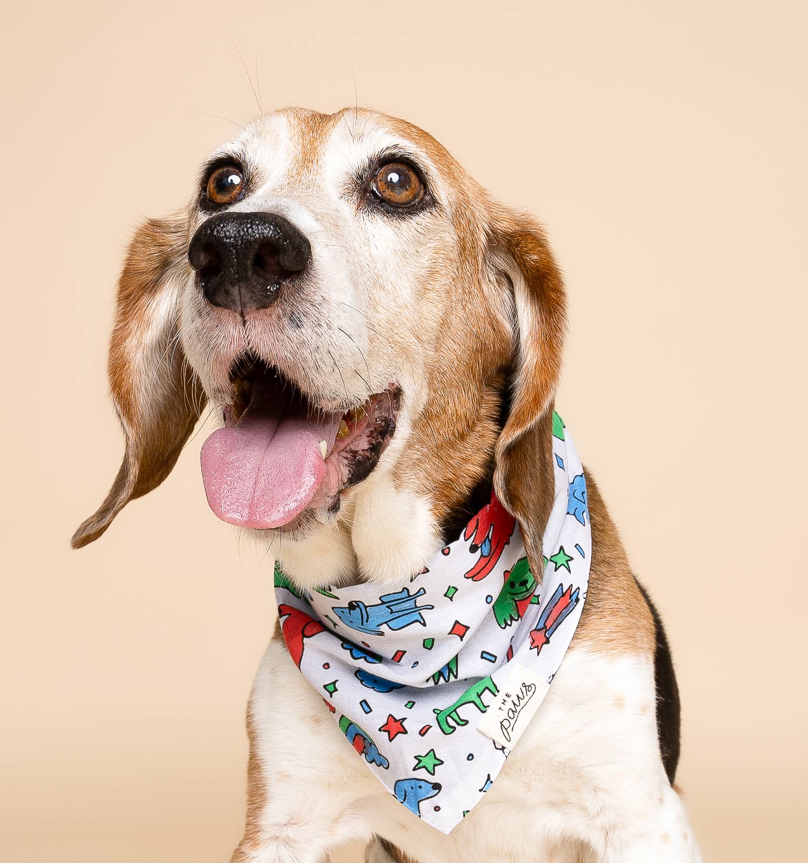 Coloring Bandana for Kids and Adults 