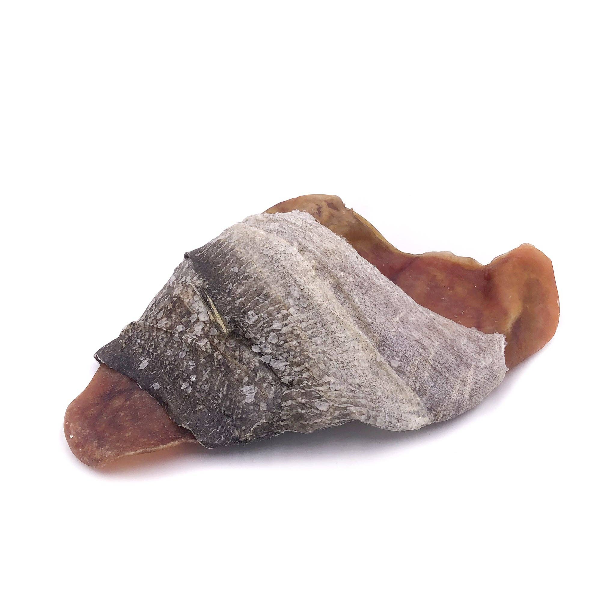 Icelandic Fish Ears - Cod Skin Wrapped Pig Ear Dog Treat