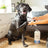 Skout's Honor Pet Grooming Wipes for Dogs & Cats 80ct