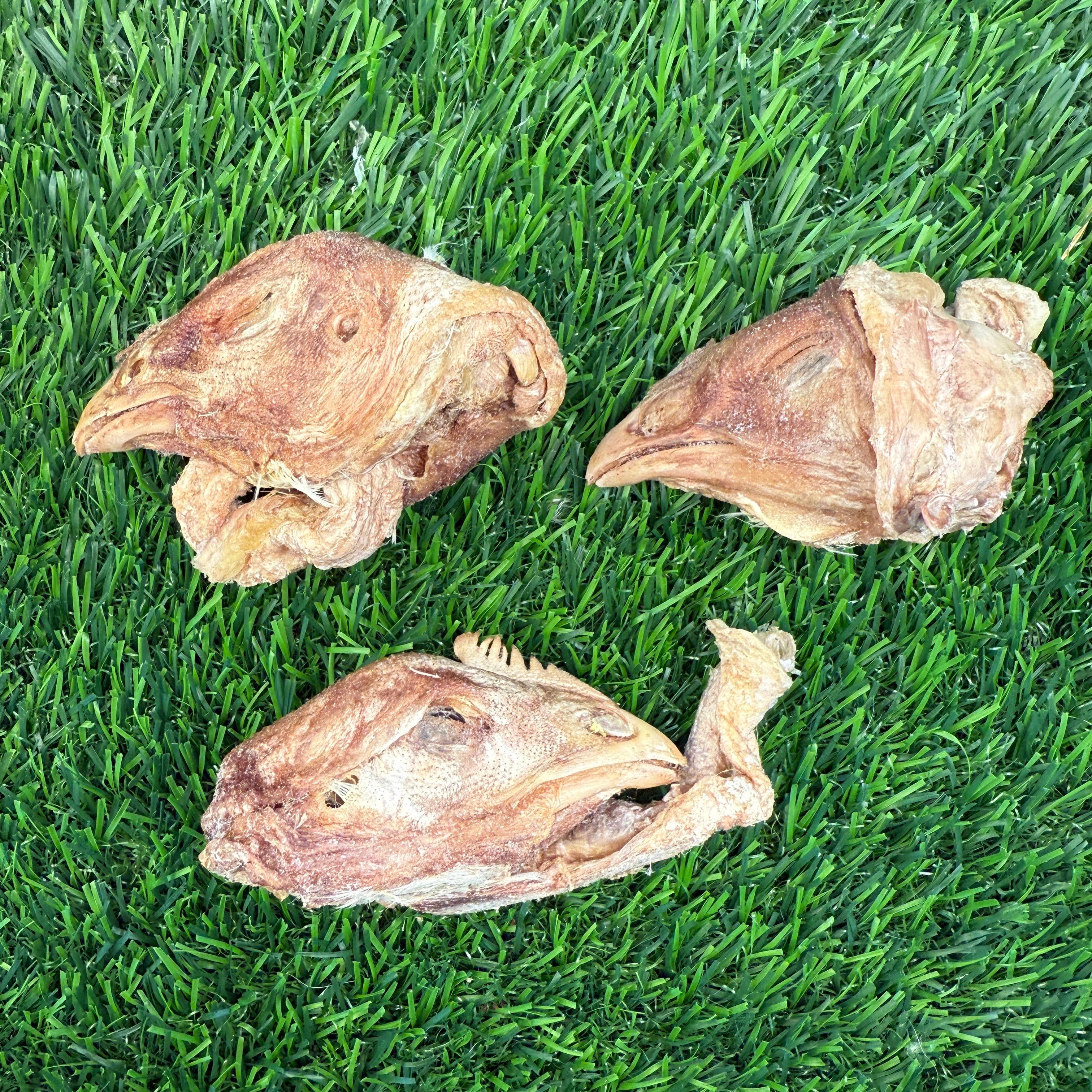Chicken Head - Freeze-Dried Treat for Dogs