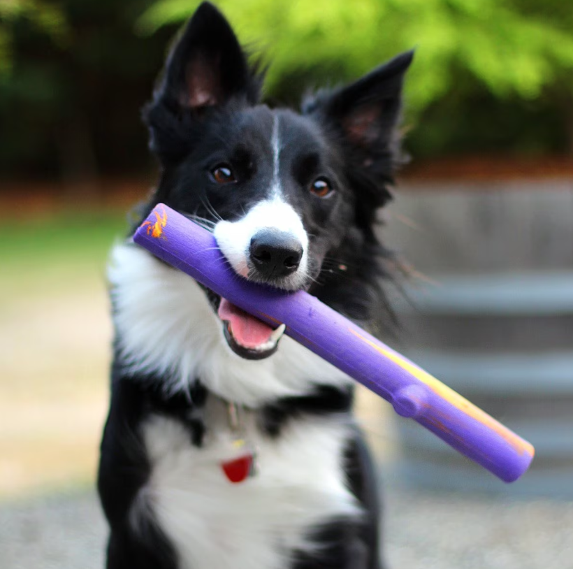 Ruff Dawg STICK CRUNCH