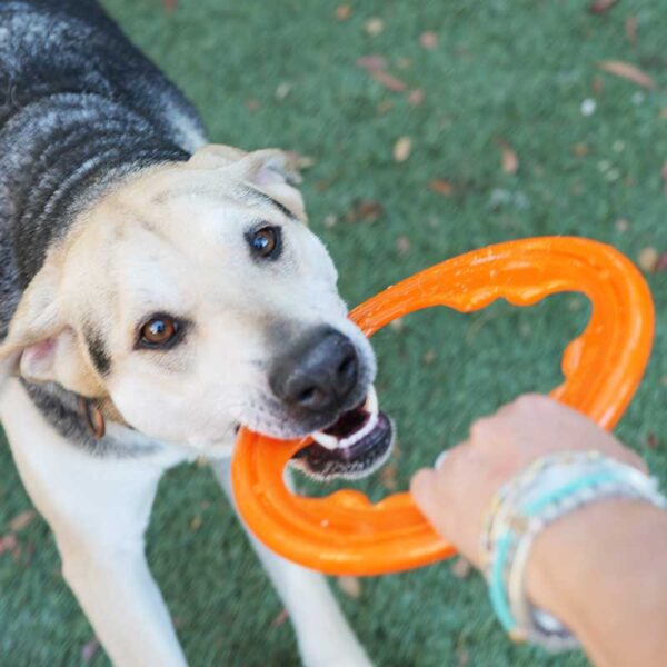 Bionic TOSS-N-TUG TURBO