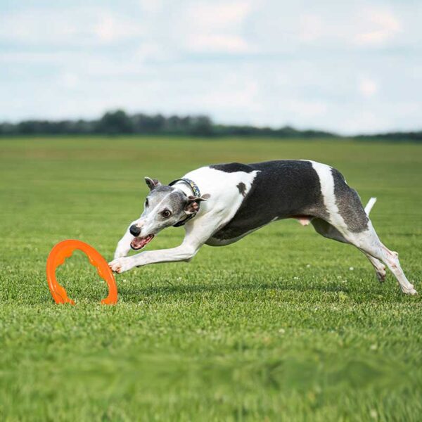 Bionic TOSS-N-TUG TURBO