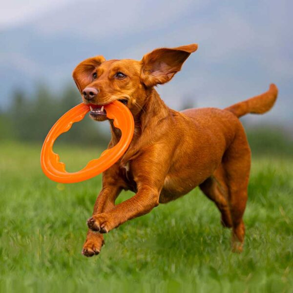 Bionic TOSS-N-TUG TURBO
