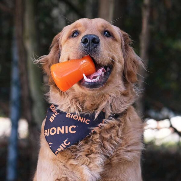 BIONIC TREAT SHAKERᵀᴹ
