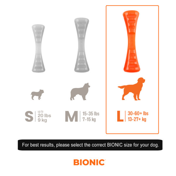 Bionic Urban Stik