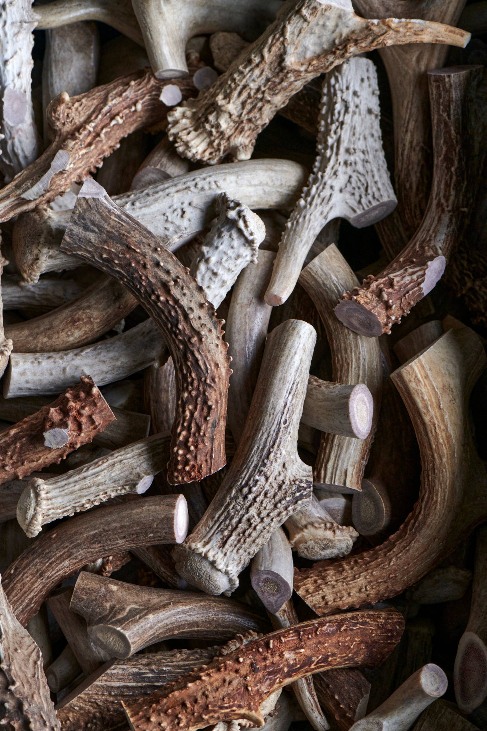 Deer Antler Dog Chews