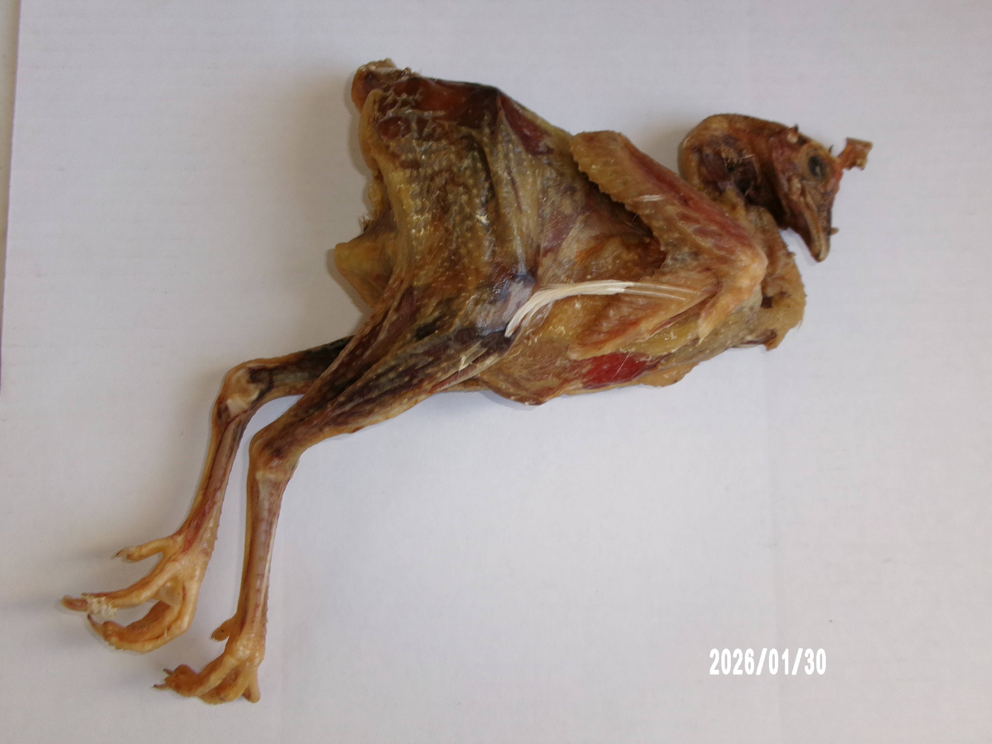 Chicken Whole Dehydrated