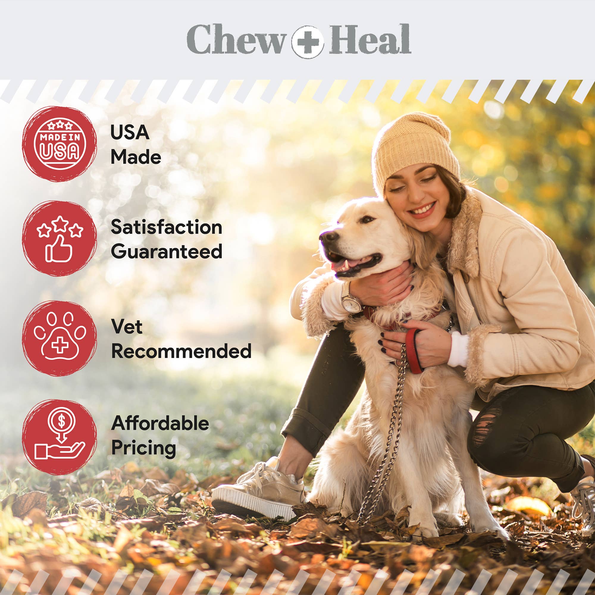 Antibacterial & Antifungal Medicated Wet Wipes for Dogs