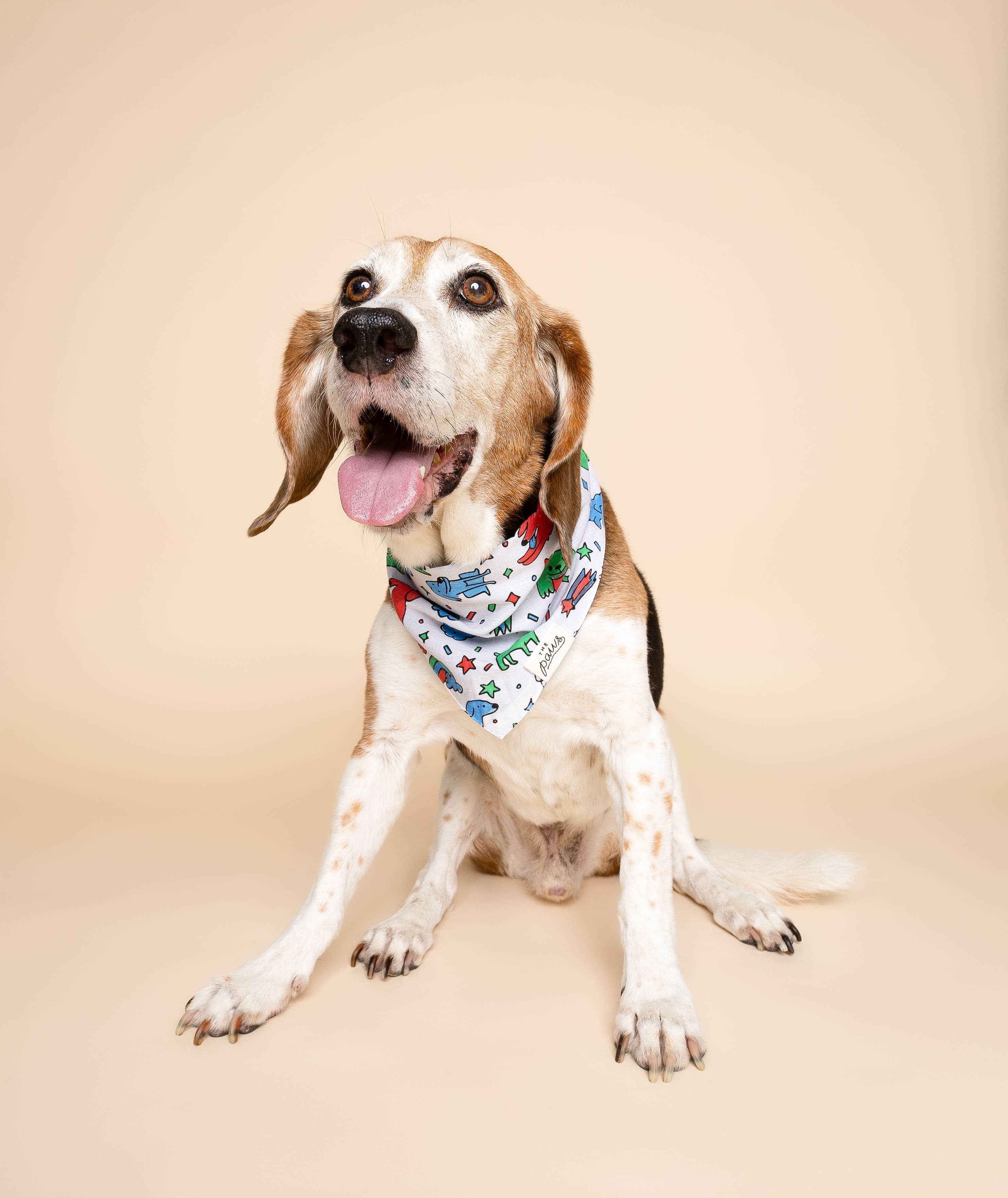 Coloring Bandana for Kids and Adults 