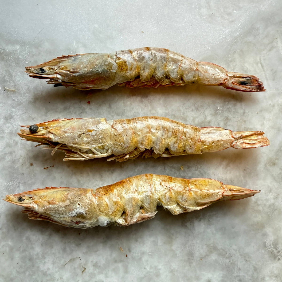 Prawns/Shrimp - Freeze-Dried