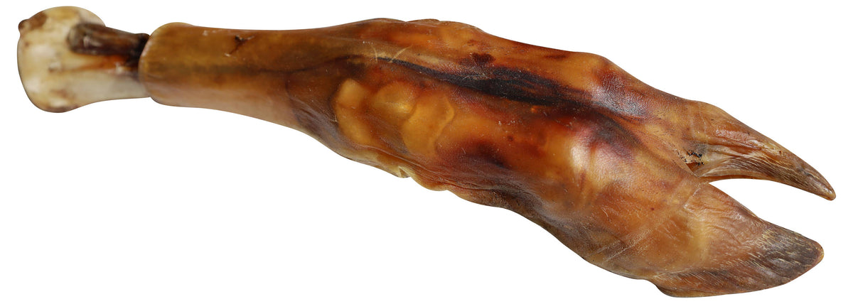 Water Buffalo Trotters