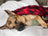 Tall Tails Blanket - Hunters Plaid