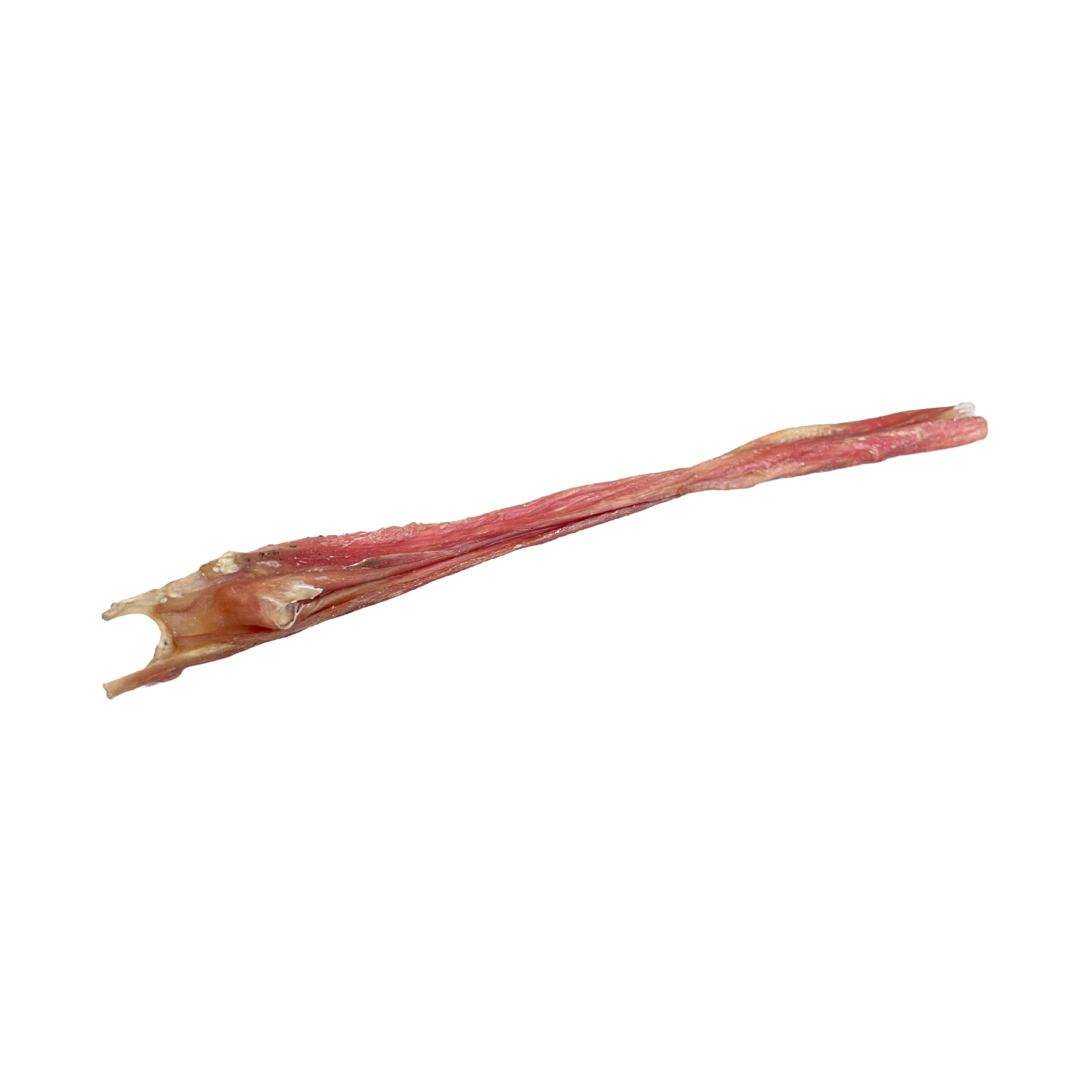 FursBee® (Bladder) Stick 12"